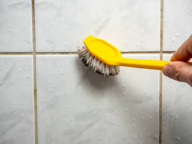 Best Best Mold Removal Companies  in Buttonwillow, CA