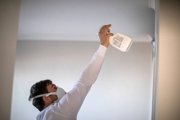 Best Best Mold Removal Companies  in Buttonwillow, CA