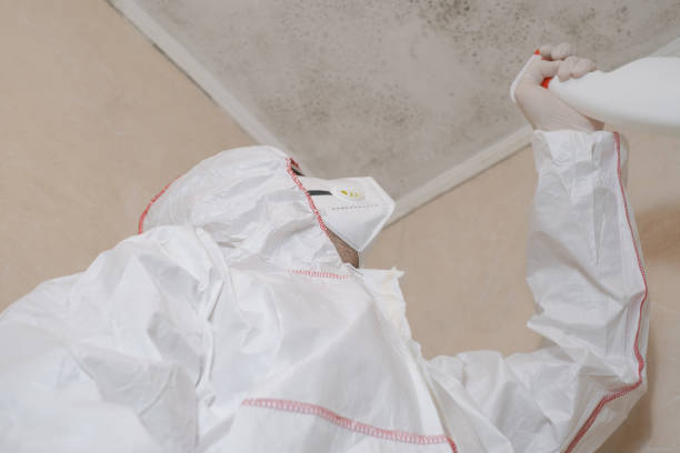 Best Office Mold Removal Services  in Buttonwillow, CA