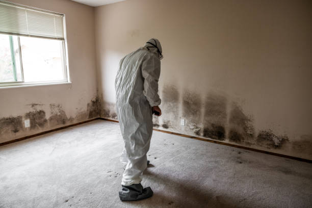 Best Crawl Space Mold Removal  in Buttonwillow, CA