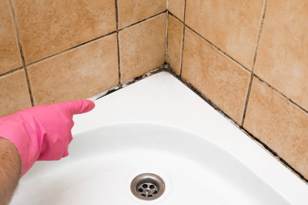 Best Crawl Space Mold Removal  in Buttonwillow, CA